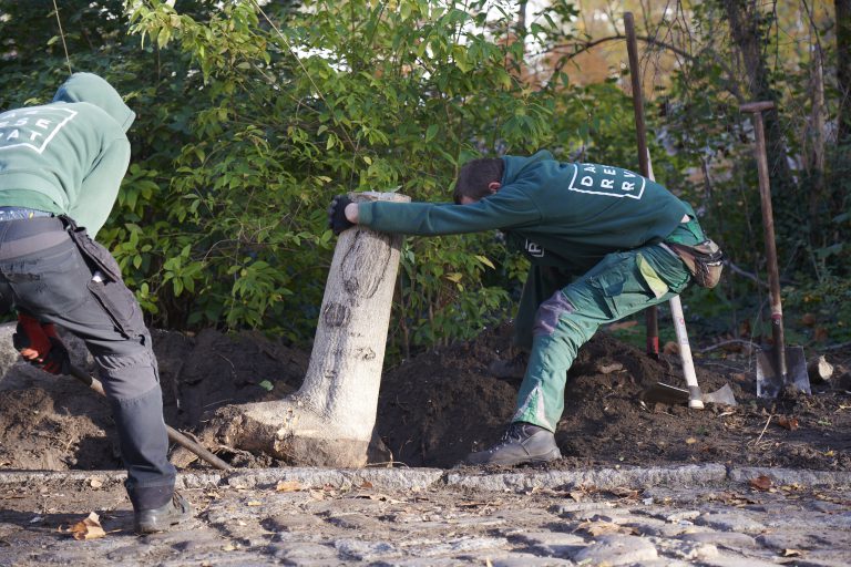 Prozess — Das Reservat