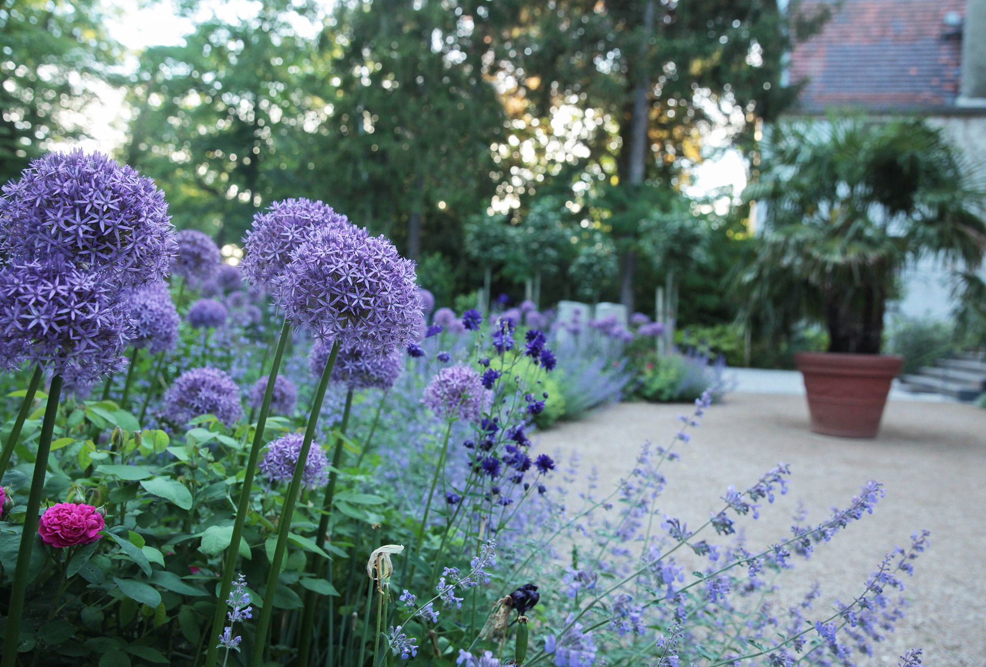 Das Reservat Berlin: Gartengestaltung, Gartenbau, Gartenpflege - Dombrowski_Garten2_Web