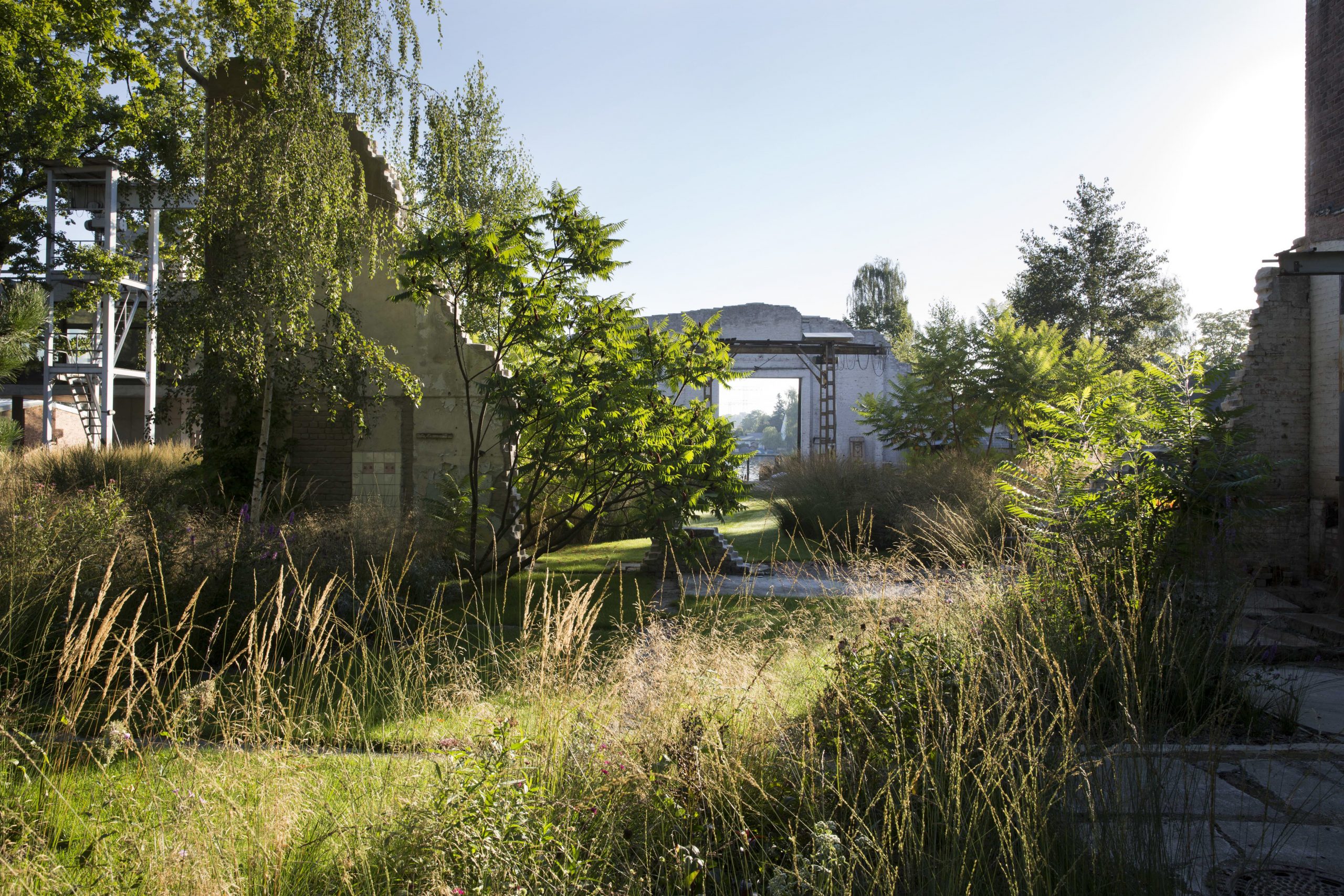 Das Reservat Berlin: Gartengestaltung, Gartenbau, Gartenpflege - Reyle-0423