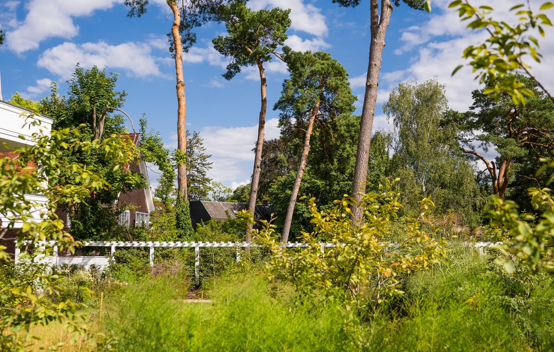 GaLaBau-Jeremias-1762-min