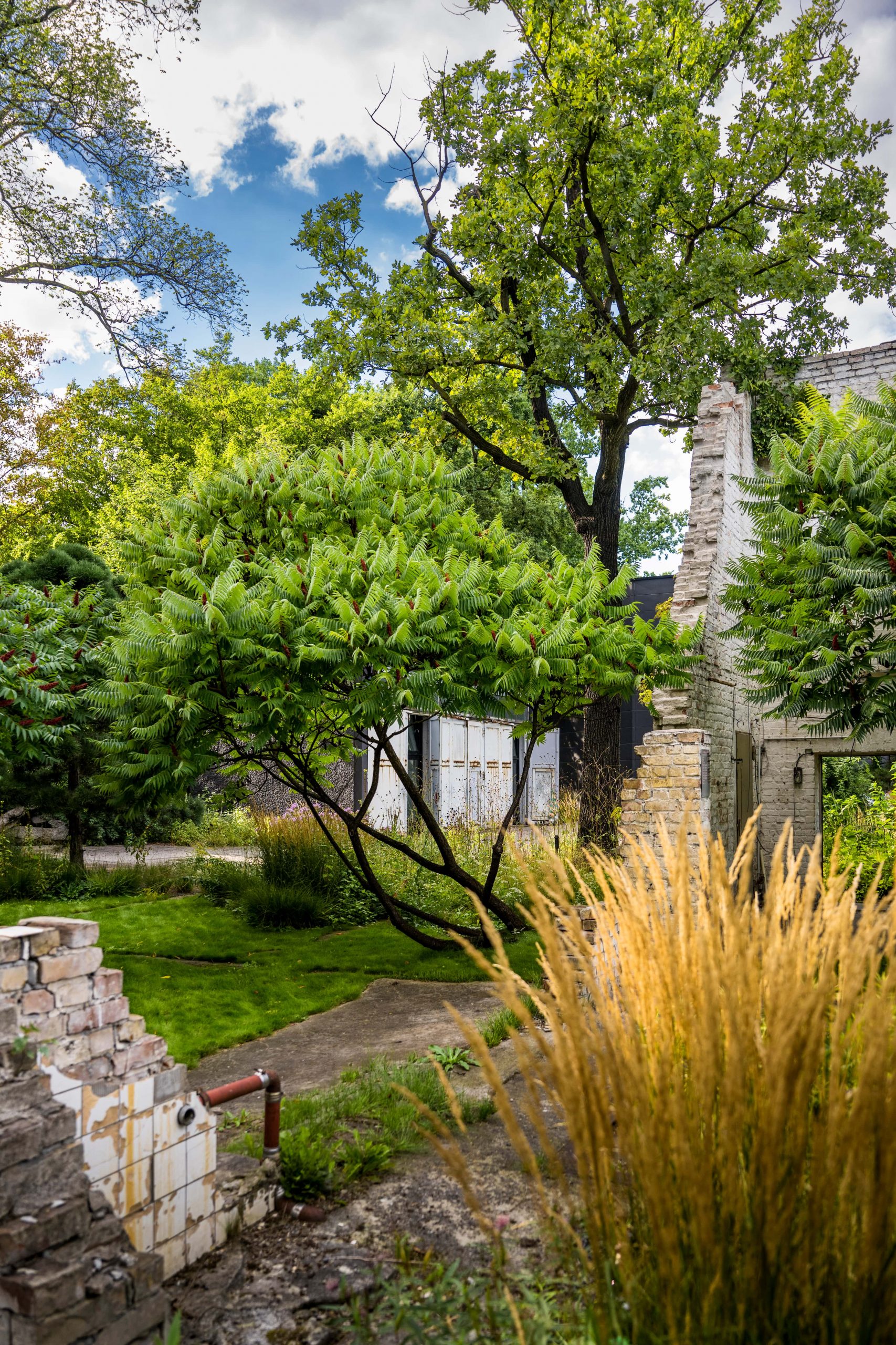 Das Reservat Berlin: Gartengestaltung, Gartenbau, Gartenpflege - GaLaBau-Jeremias-2271-min