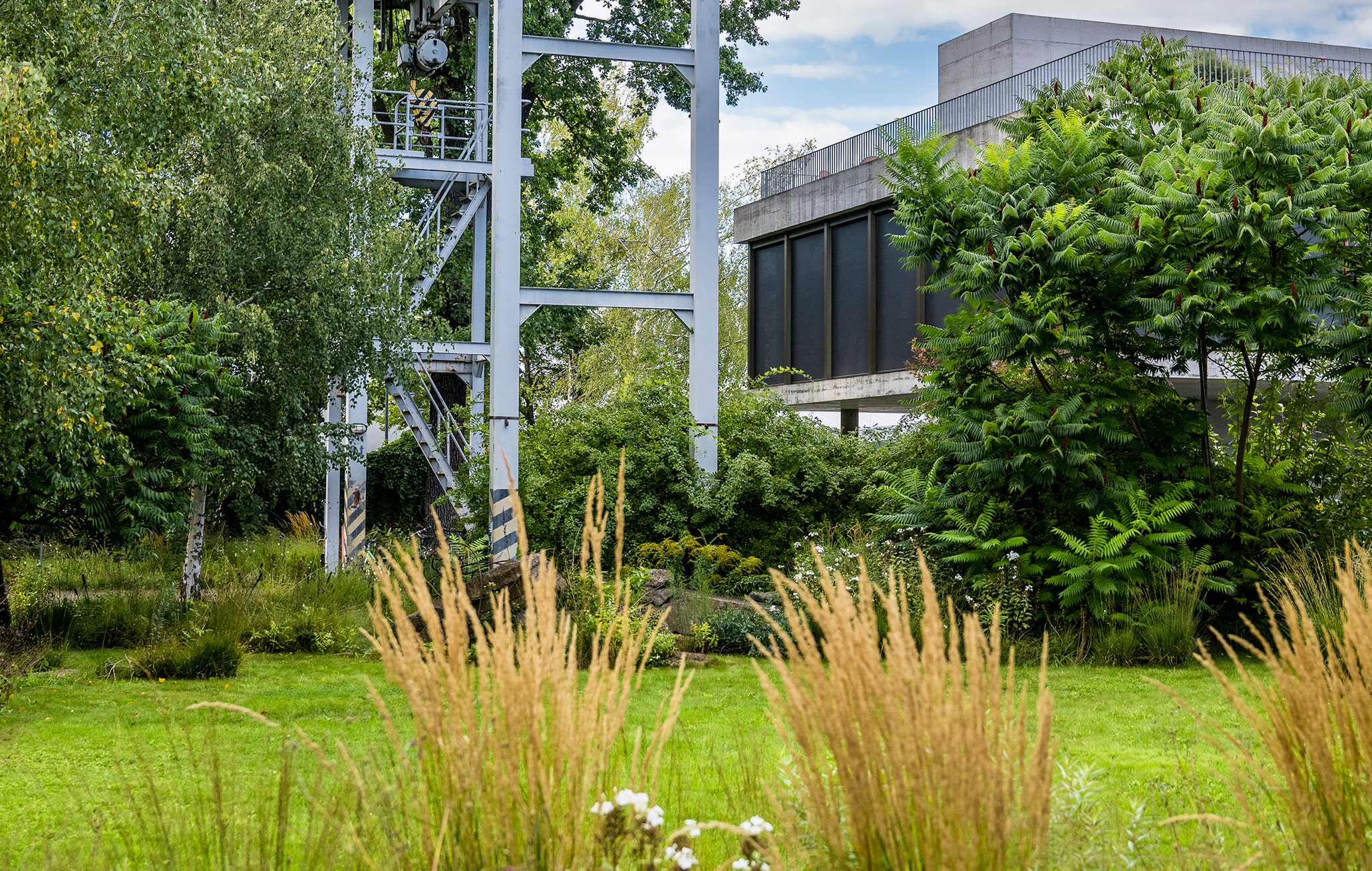 Das Reservat Berlin: Gartengestaltung, Gartenbau, Gartenpflege - GaLaBau-Jeremias-2418-min