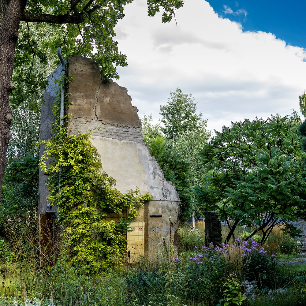 Das Reservat Berlin: Gartengestaltung, Gartenbau, Gartenpflege - GaLaBau-Jeremias-2625-min