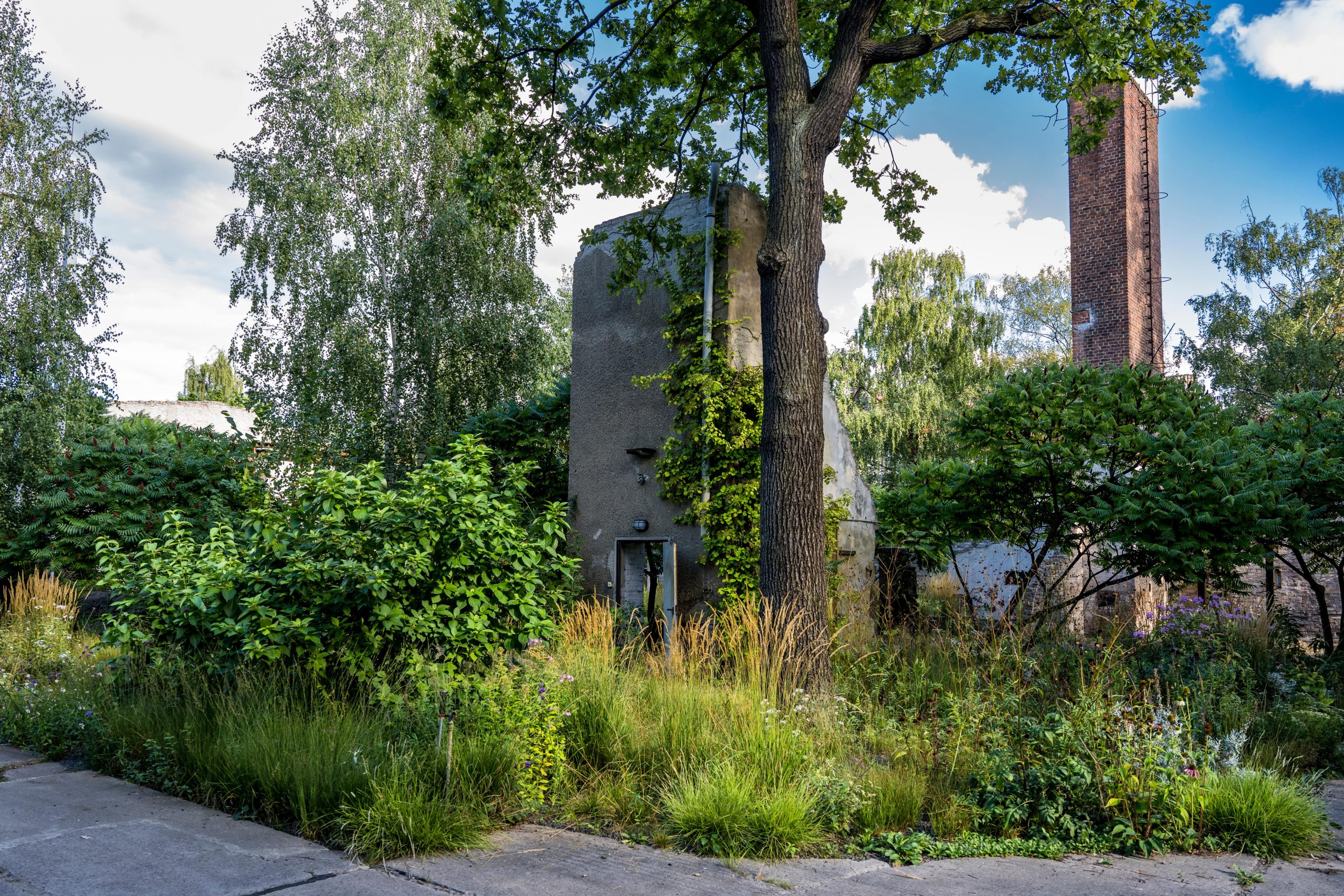 Das Reservat Berlin: Gartengestaltung, Gartenbau, Gartenpflege - GaLaBau-Jeremias-2645-min