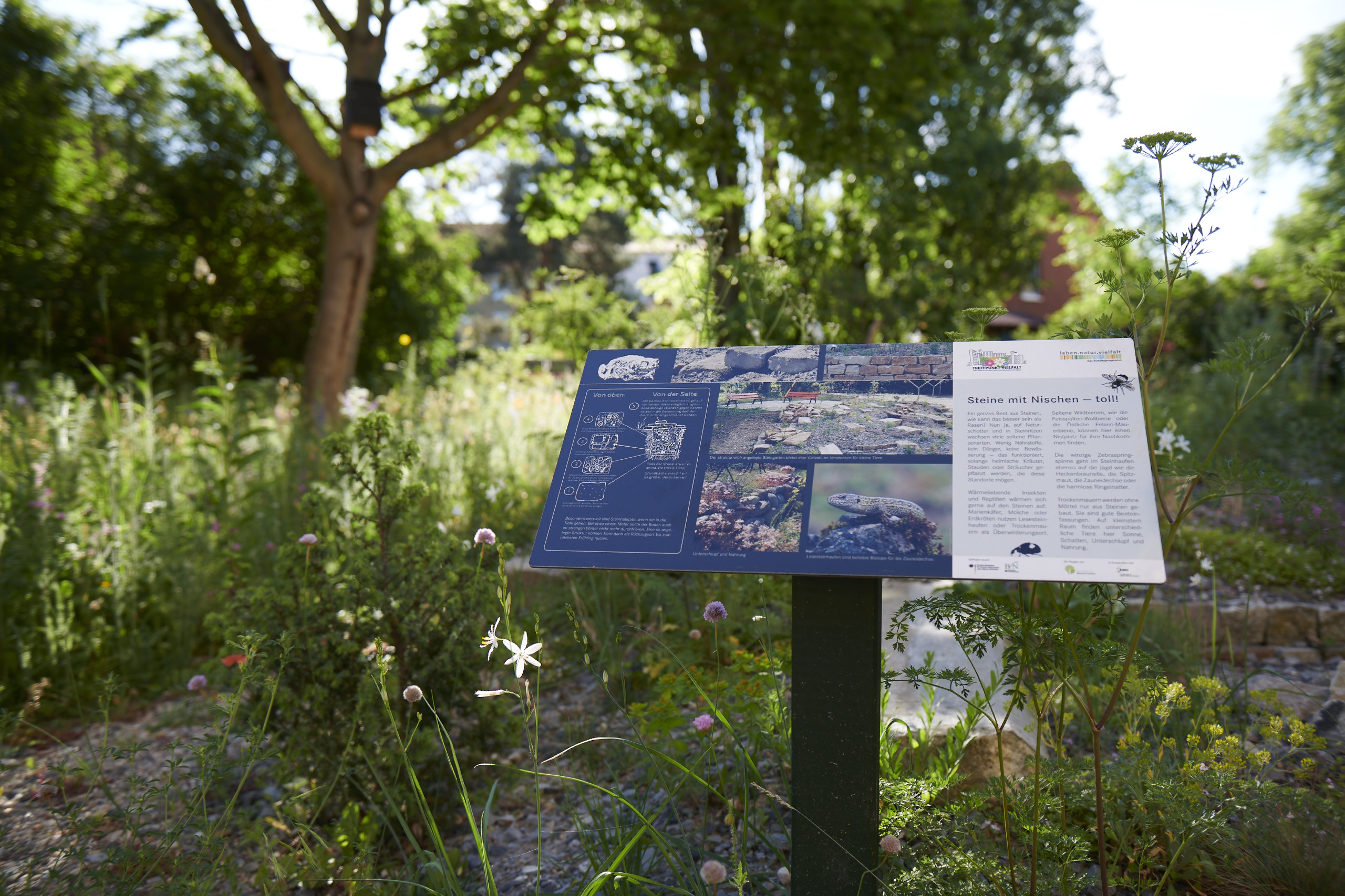 Das Reservat Berlin: Gartengestaltung, Gartenbau, Gartenpflege - 04_Das_Reservat_Gaerten_0029