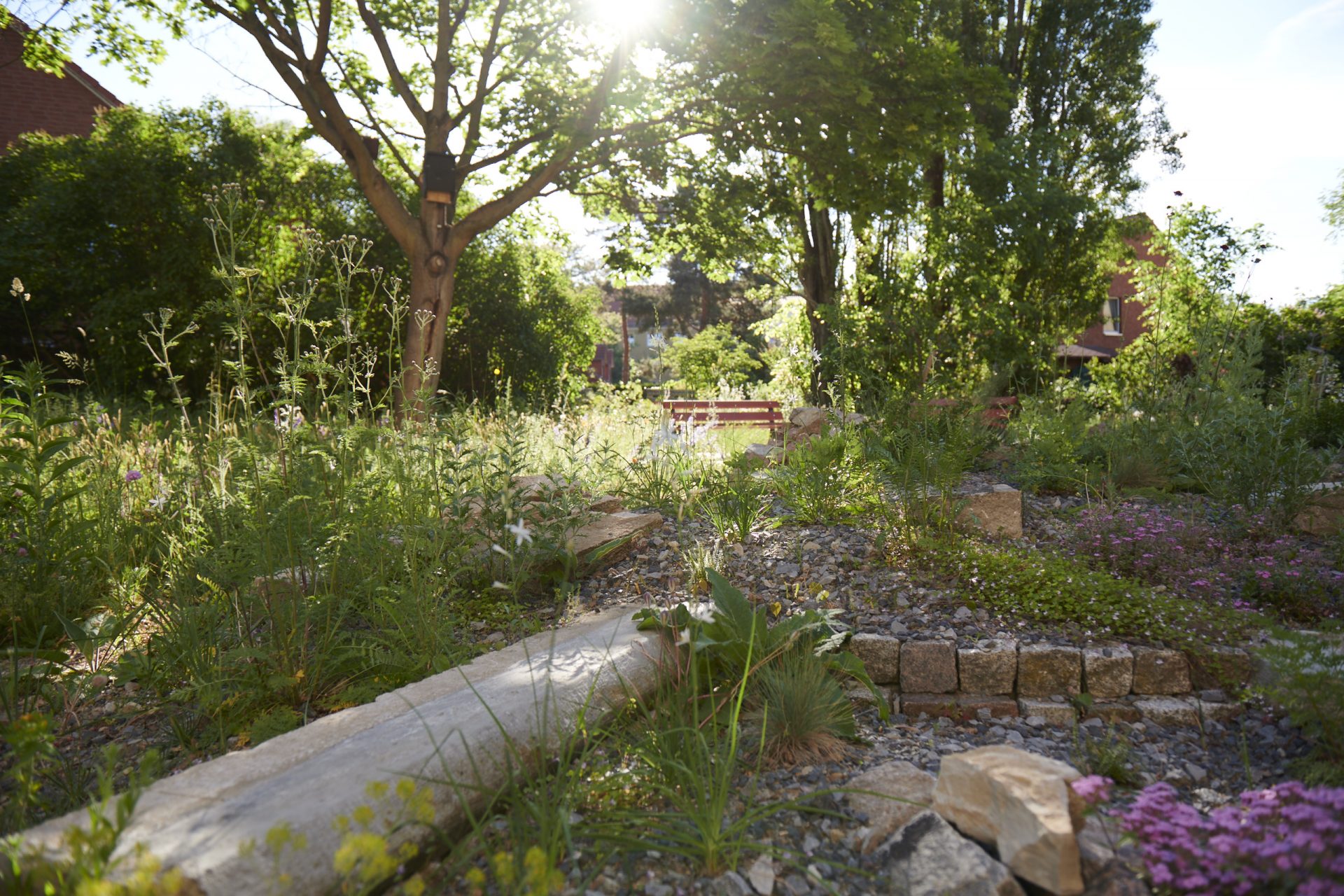 05_Das_Reservat_Gaerten_0030