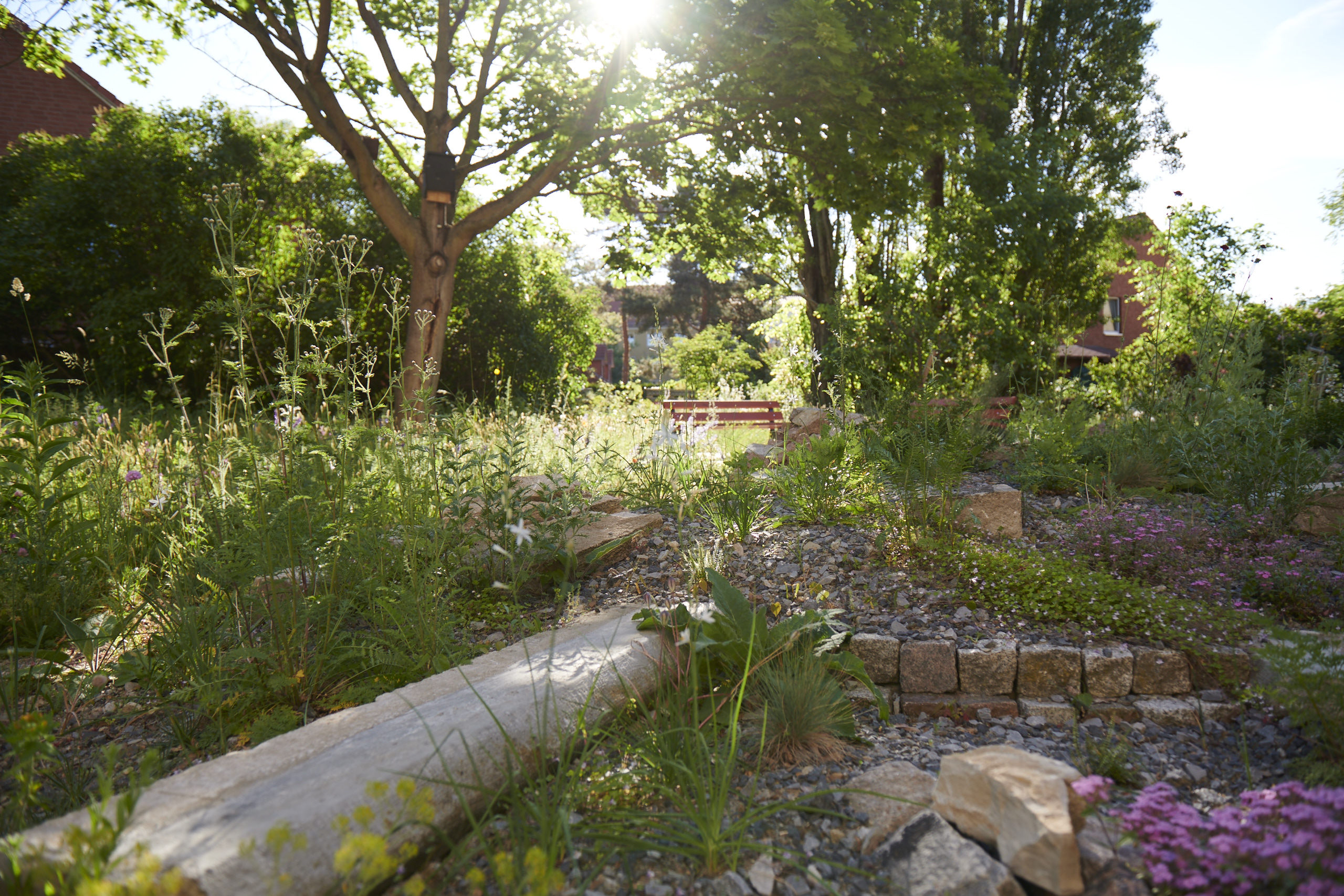 Das Reservat Berlin: Gartengestaltung, Gartenbau, Gartenpflege - 05_Das_Reservat_Gaerten_0030