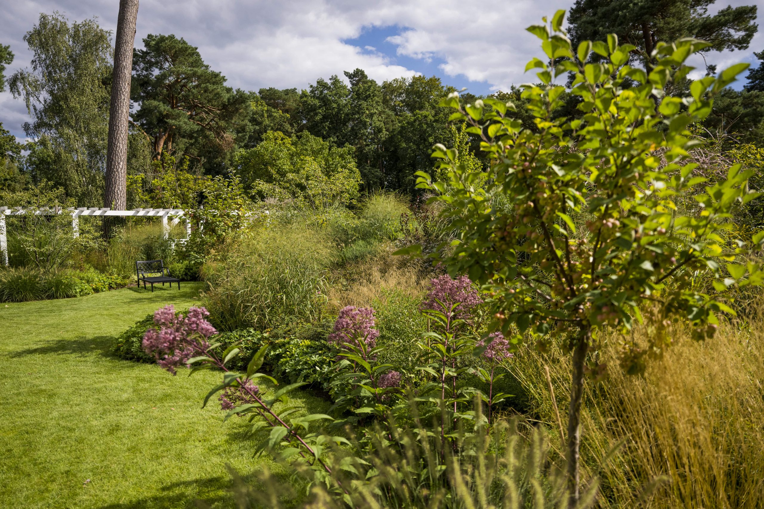 Das Reservat Berlin: Gartengestaltung, Gartenbau, Gartenpflege - Burgunderst_1782-min