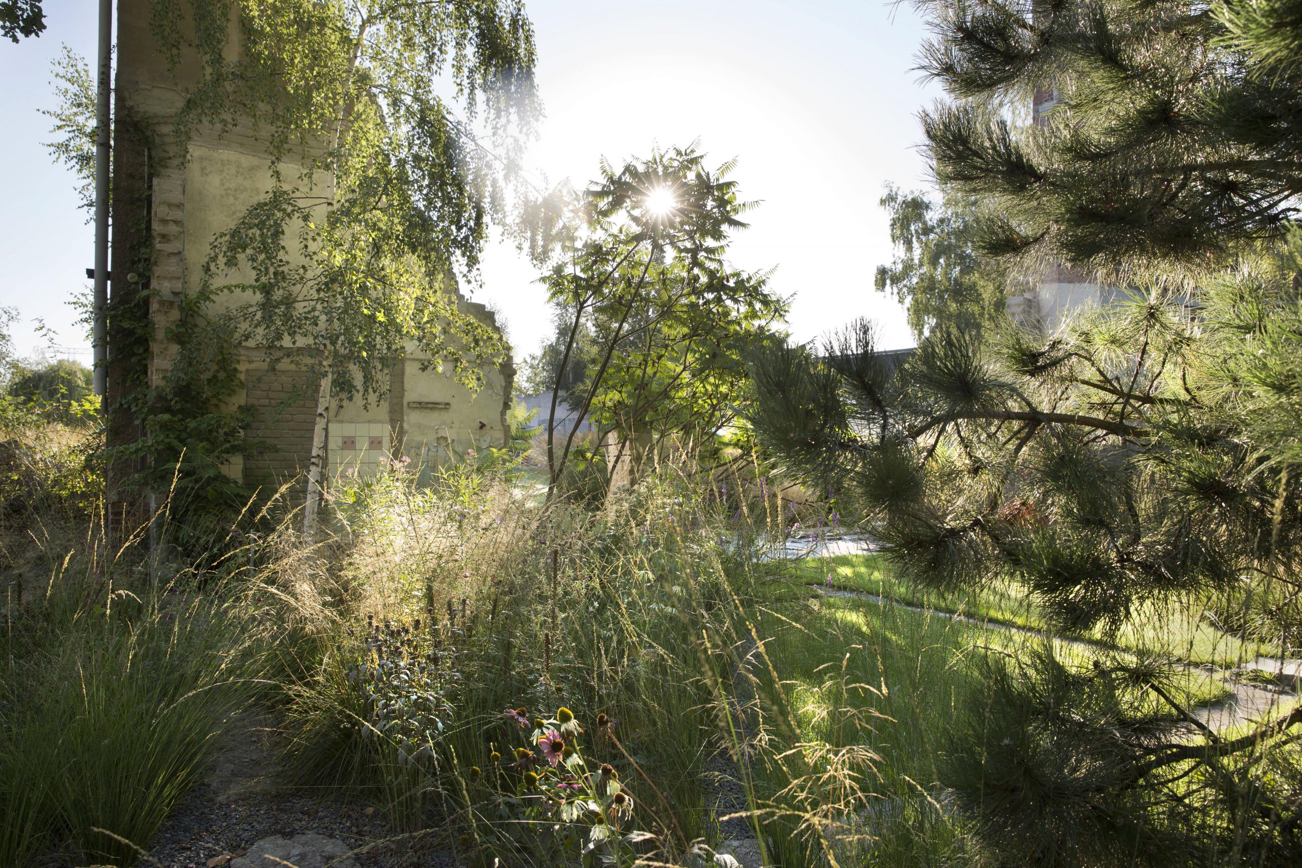 Das Reservat Berlin: Gartengestaltung, Gartenbau, Gartenpflege - Reyle-0431-min