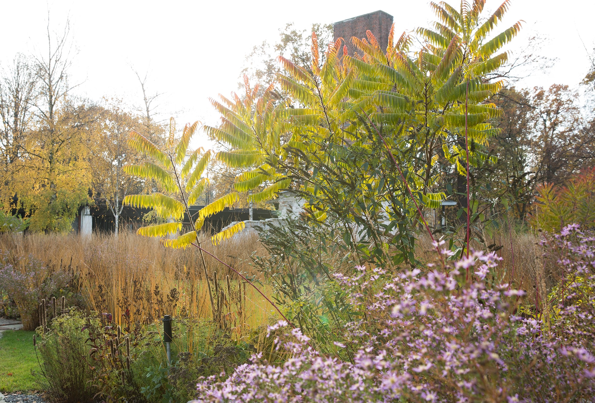 Reyle_Herbst-5233-min