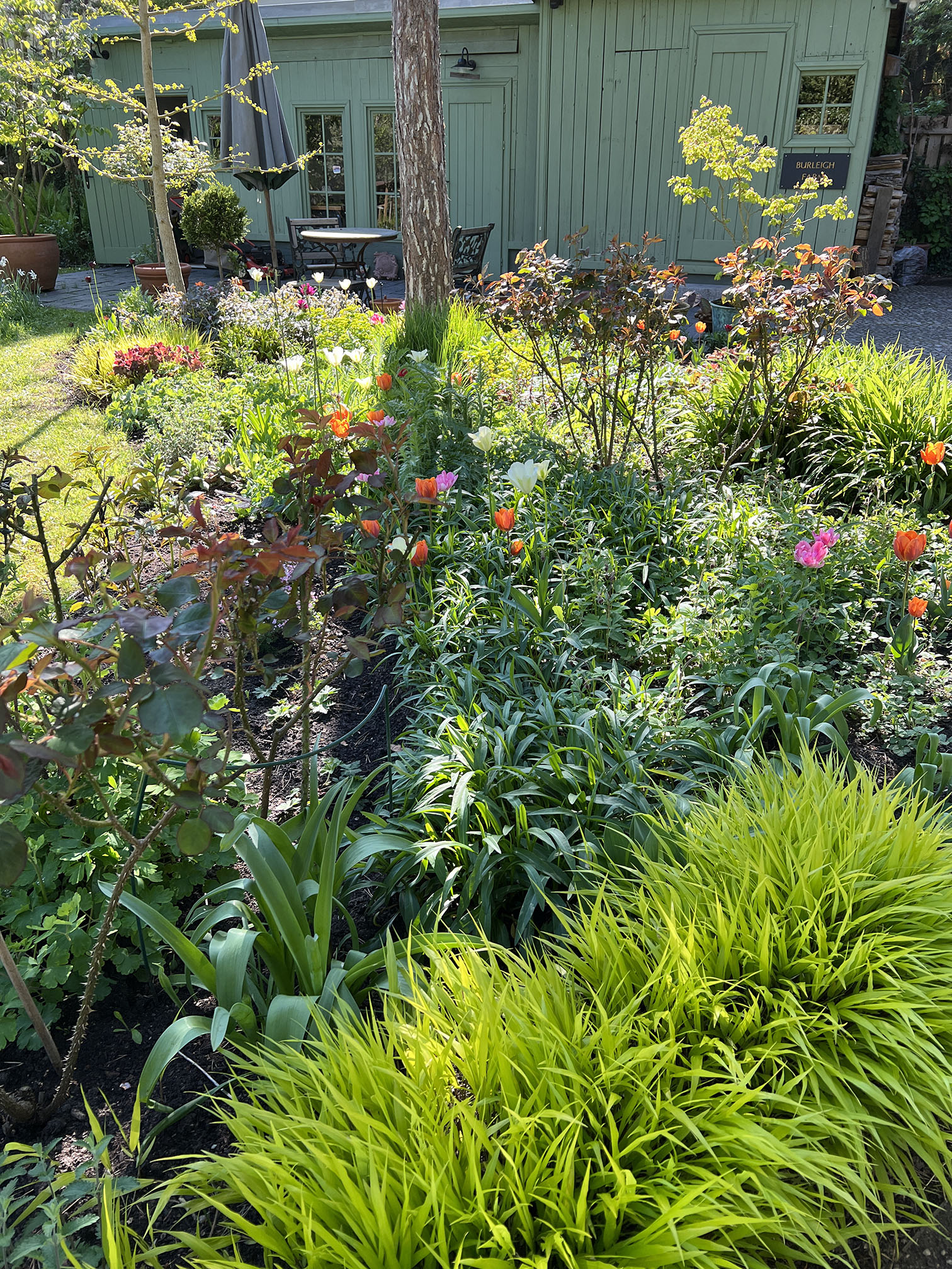 Das Reservat Berlin: Gartengestaltung, Gartenbau, Gartenpflege - DJI_20230510_093424_238