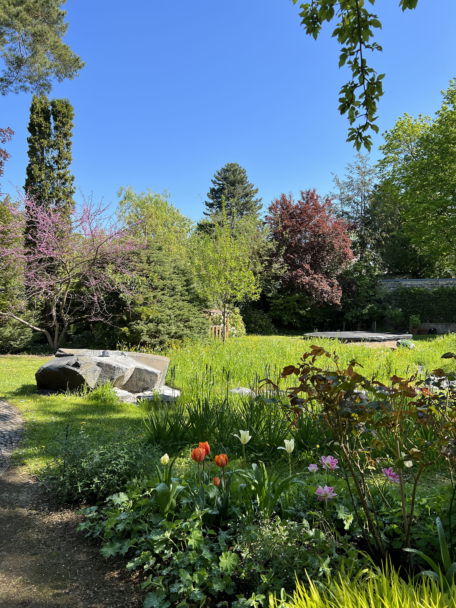 Das Reservat Berlin: Gartengestaltung, Gartenbau, Gartenpflege - DJI_20230510_102119_113