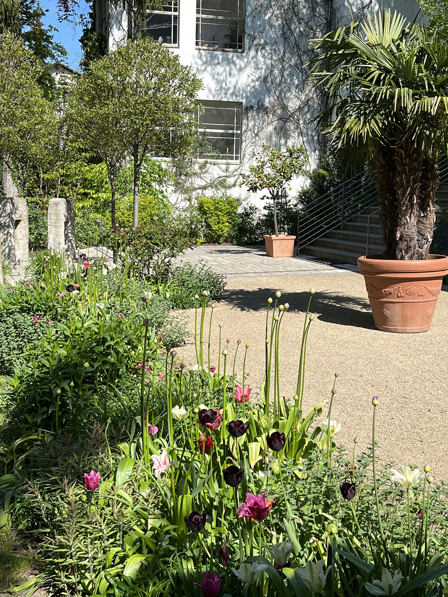 Das Reservat Berlin: Gartengestaltung, Gartenbau, Gartenpflege - DJI_20230510_103746_798