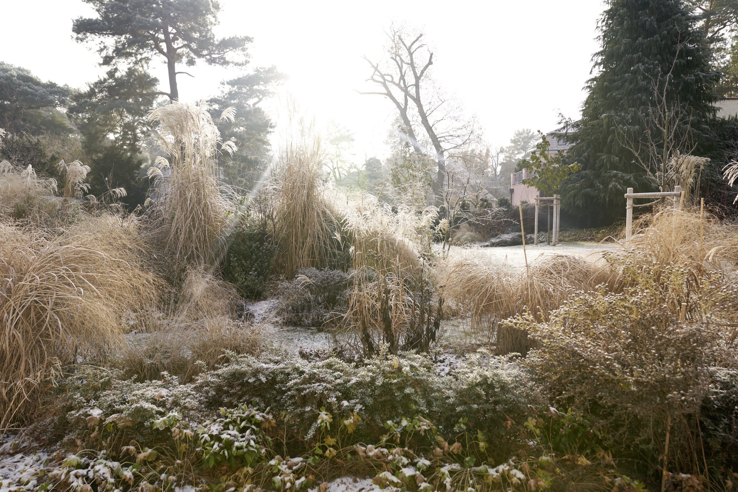 Das Reservat Berlin: Gartengestaltung, Gartenbau, Gartenpflege - Das_Reservat_1110-min
