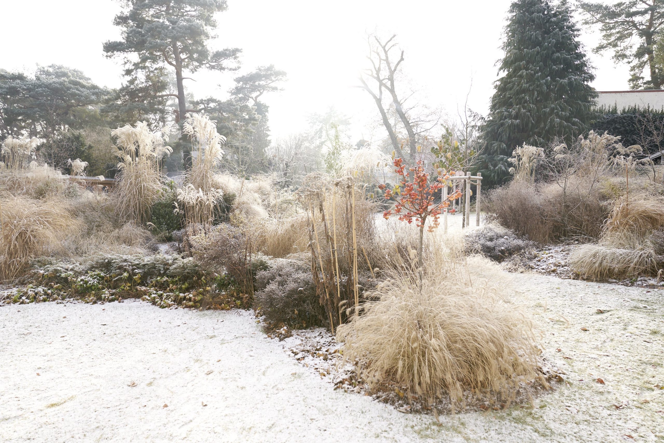 Das Reservat Berlin: Gartengestaltung, Gartenbau, Gartenpflege - Das_Reservat_1124-min