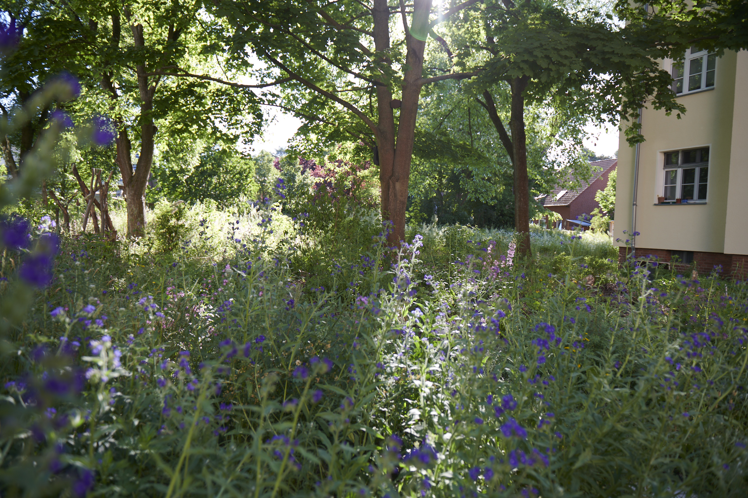 Das Reservat Berlin: Gartengestaltung, Gartenbau, Gartenpflege - Das_Reservat_Gaerten_0138