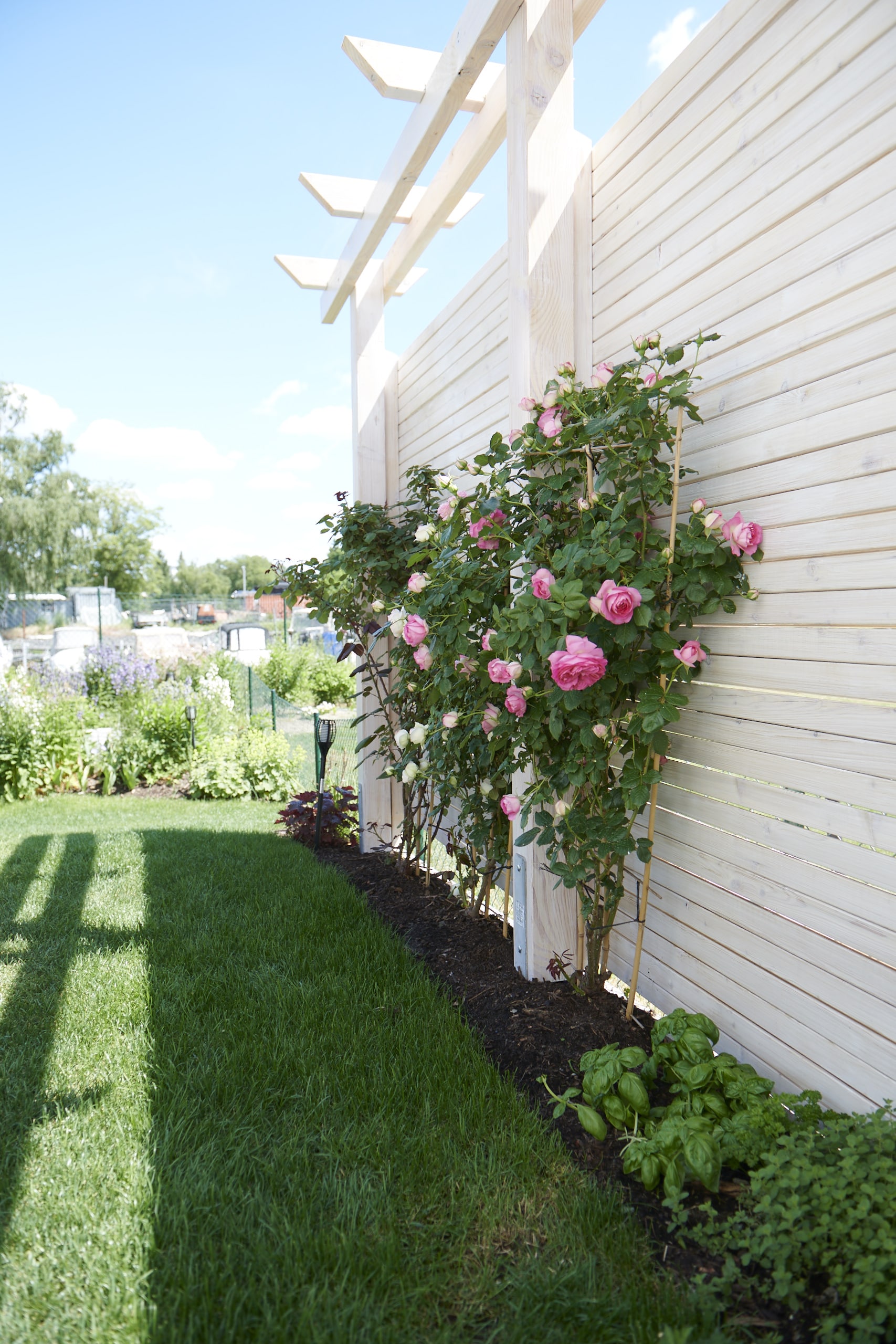 Das Reservat Berlin: Gartengestaltung, Gartenbau, Gartenpflege - Das_Reservat_Gaerten_1185-min