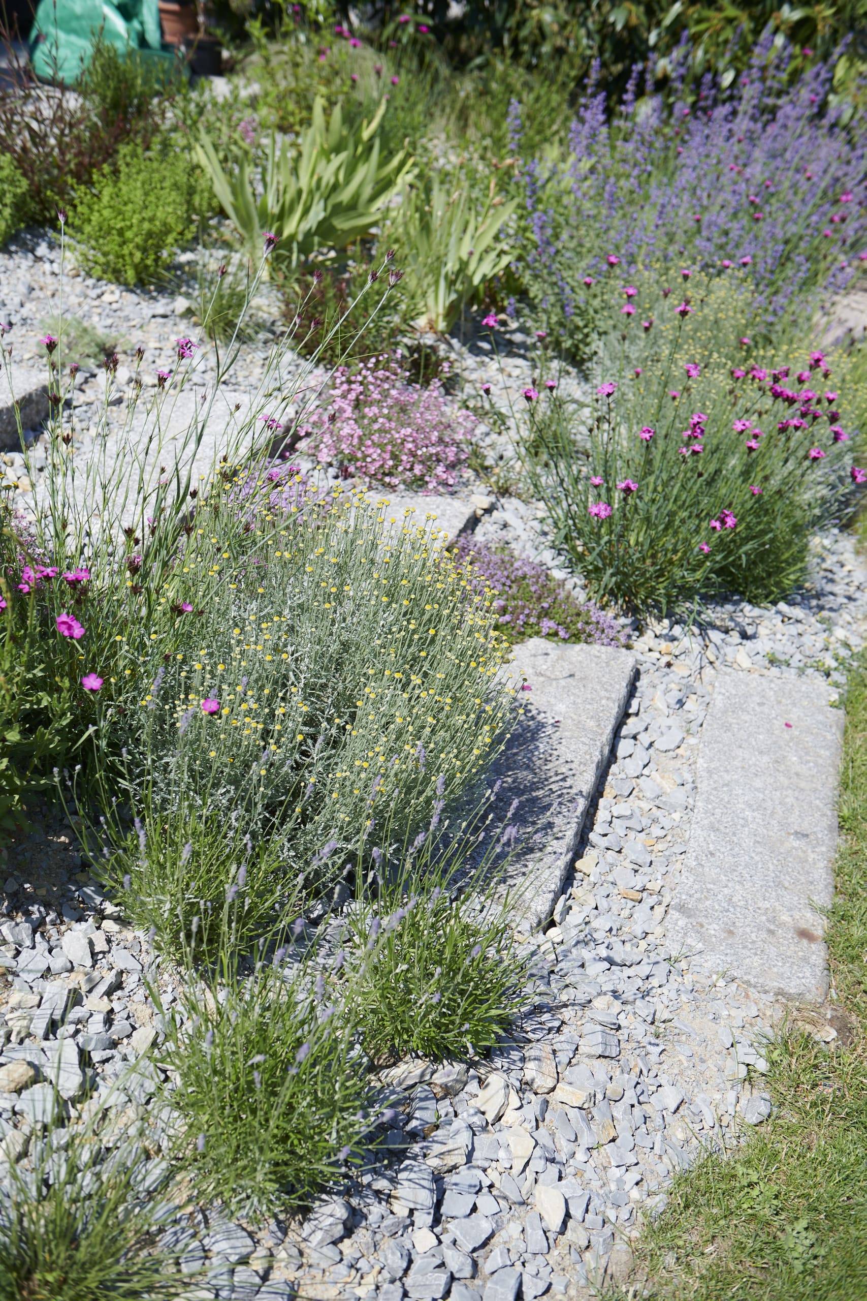 Das Reservat Berlin: Gartengestaltung, Gartenbau, Gartenpflege - Das_Reservat_Gaerten_1193-min