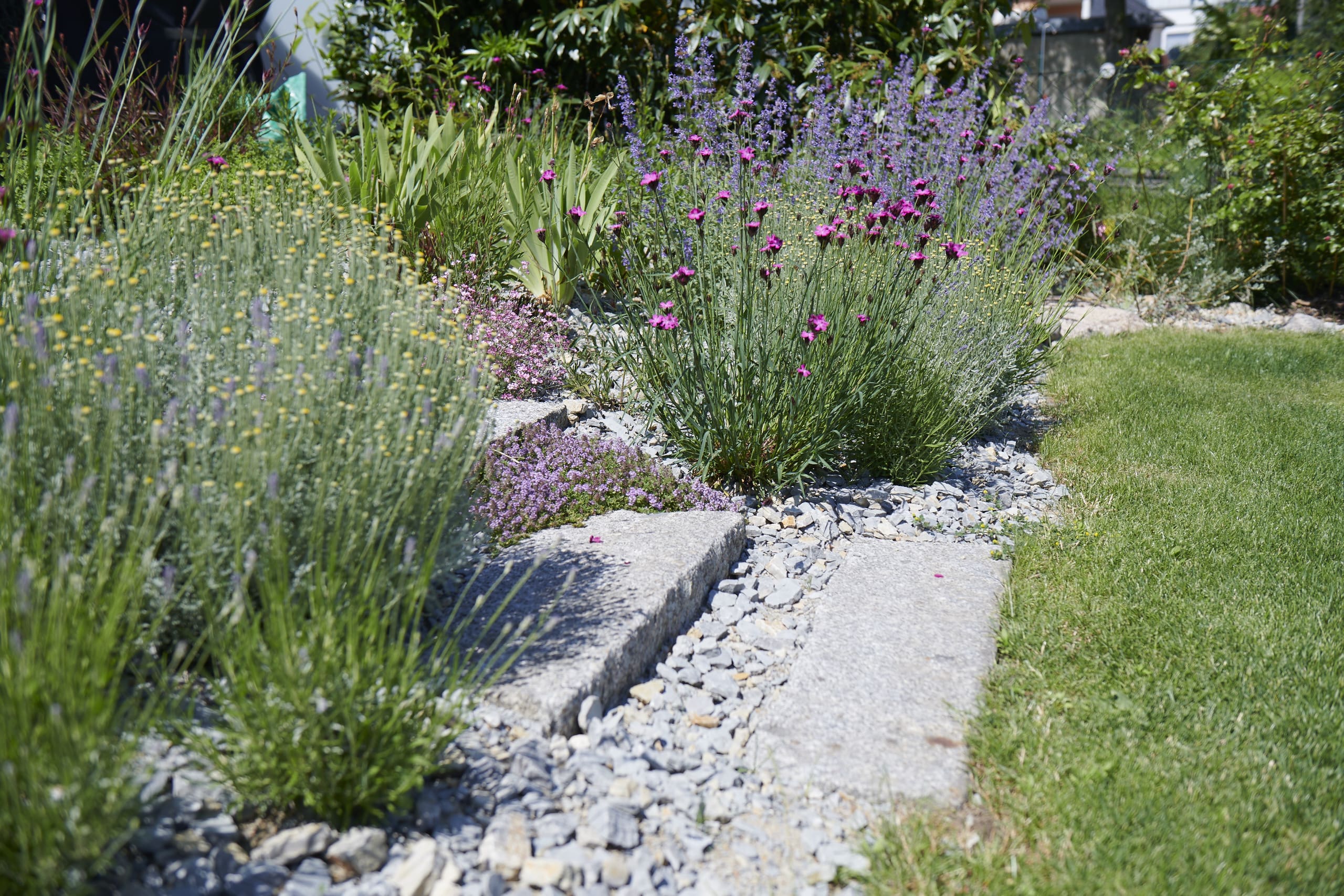 Das Reservat Berlin: Gartengestaltung, Gartenbau, Gartenpflege - Das_Reservat_Gaerten_1196-min