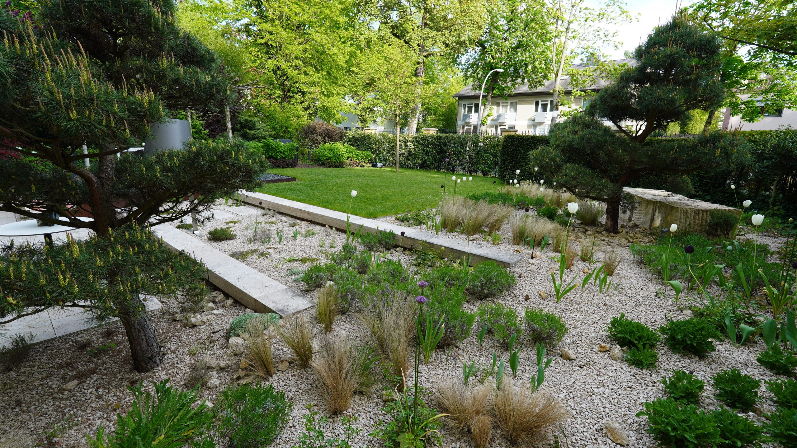 Das Reservat Berlin: Gartengestaltung, Gartenbau, Gartenpflege - DSC00813_oligarch