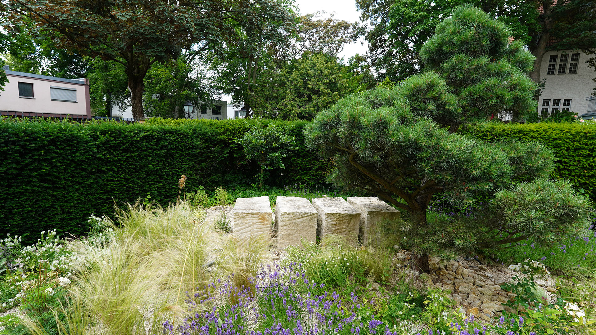 Das Reservat Berlin: Gartengestaltung, Gartenbau, Gartenpflege - DSC00999