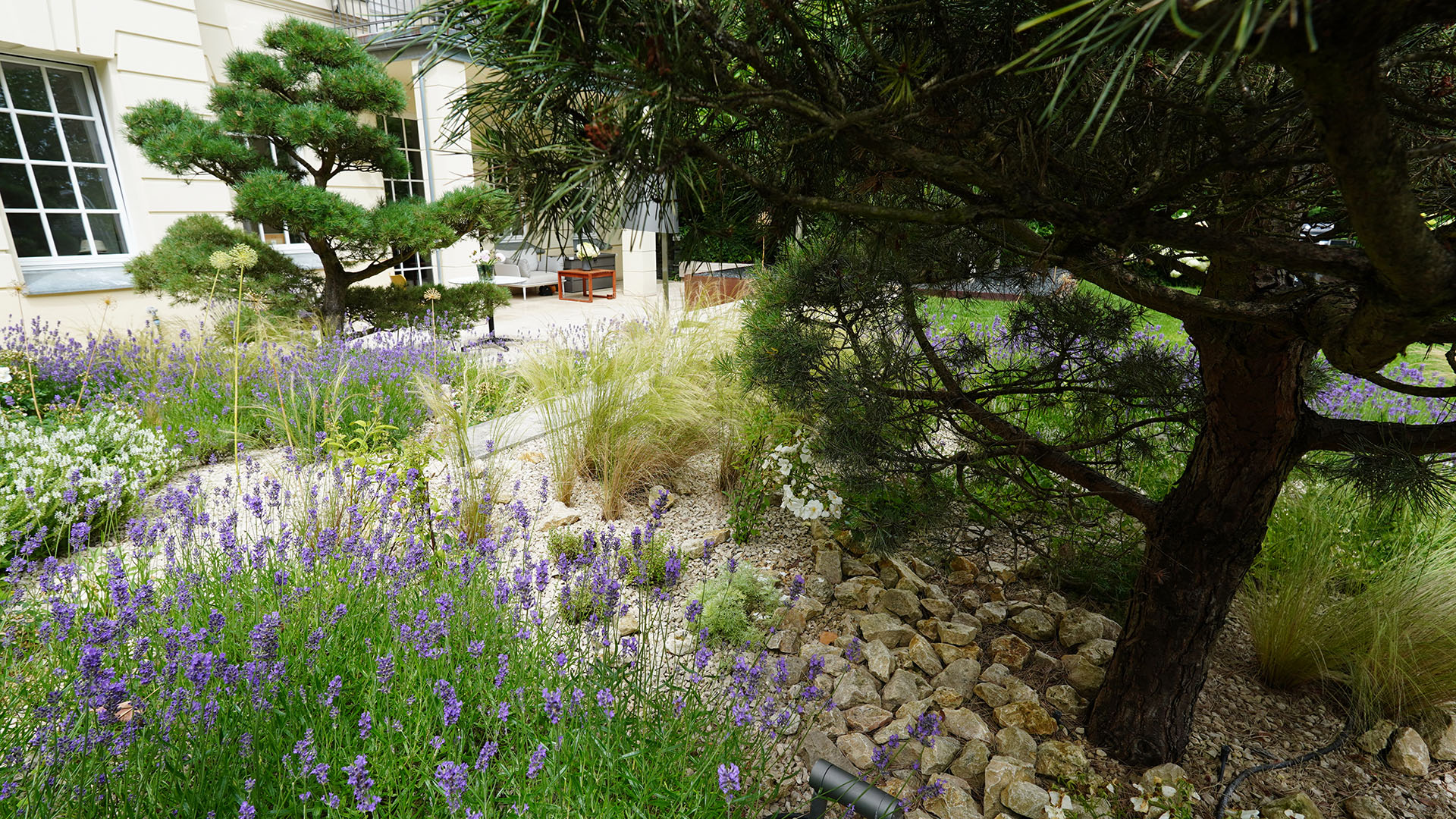 Das Reservat Berlin: Gartengestaltung, Gartenbau, Gartenpflege - DSC01020