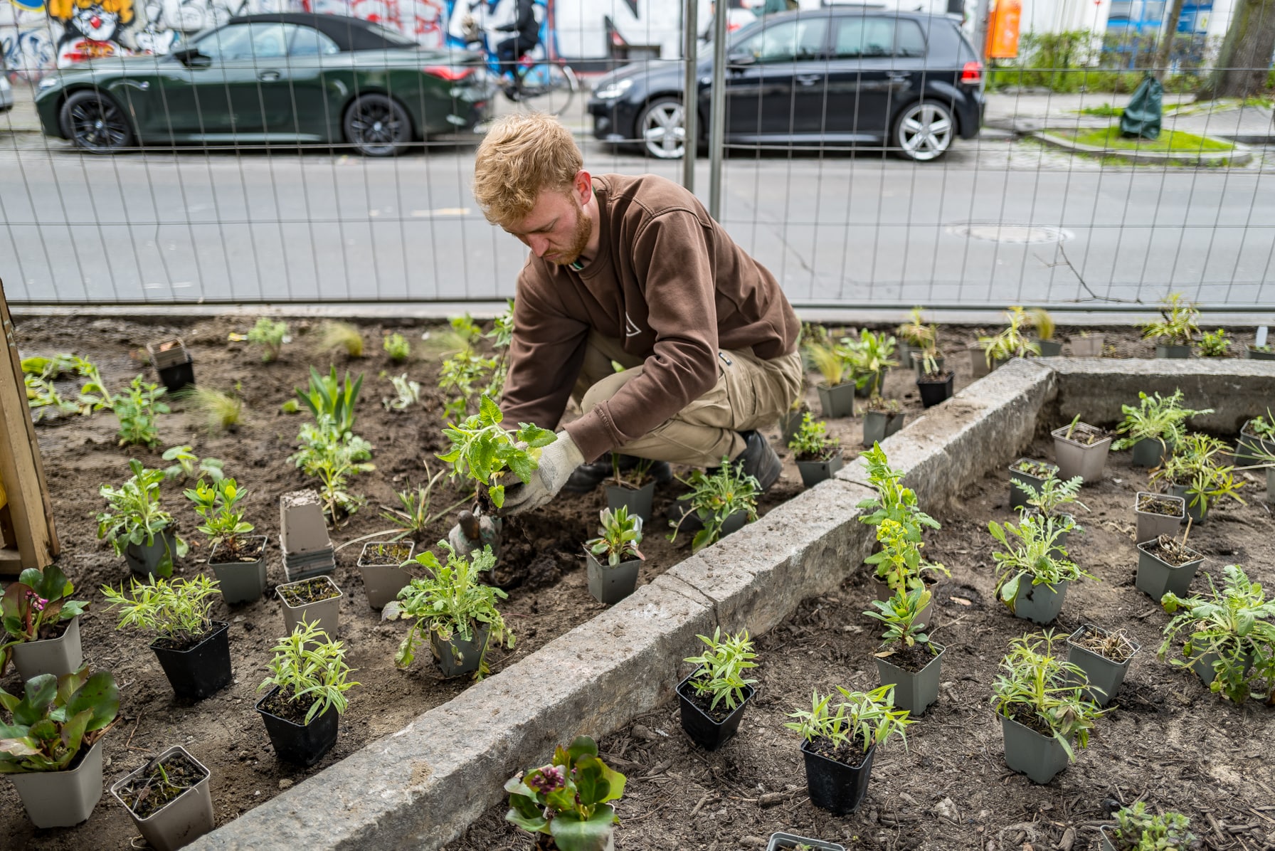 Das Reservat Berlin: Gartengestaltung, Gartenbau, Gartenpflege - Foto: Matthias Heskamp, Reallabor Radbahn