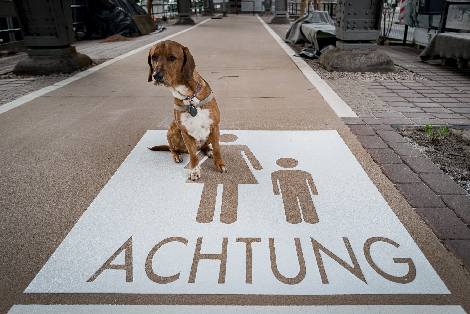 Das Reservat Berlin: Gartengestaltung, Gartenbau, Gartenpflege - 240417_Rlb_Foto_Baustelle_Testfeld_Skalitzer_LQ_Mh_L1003263-min