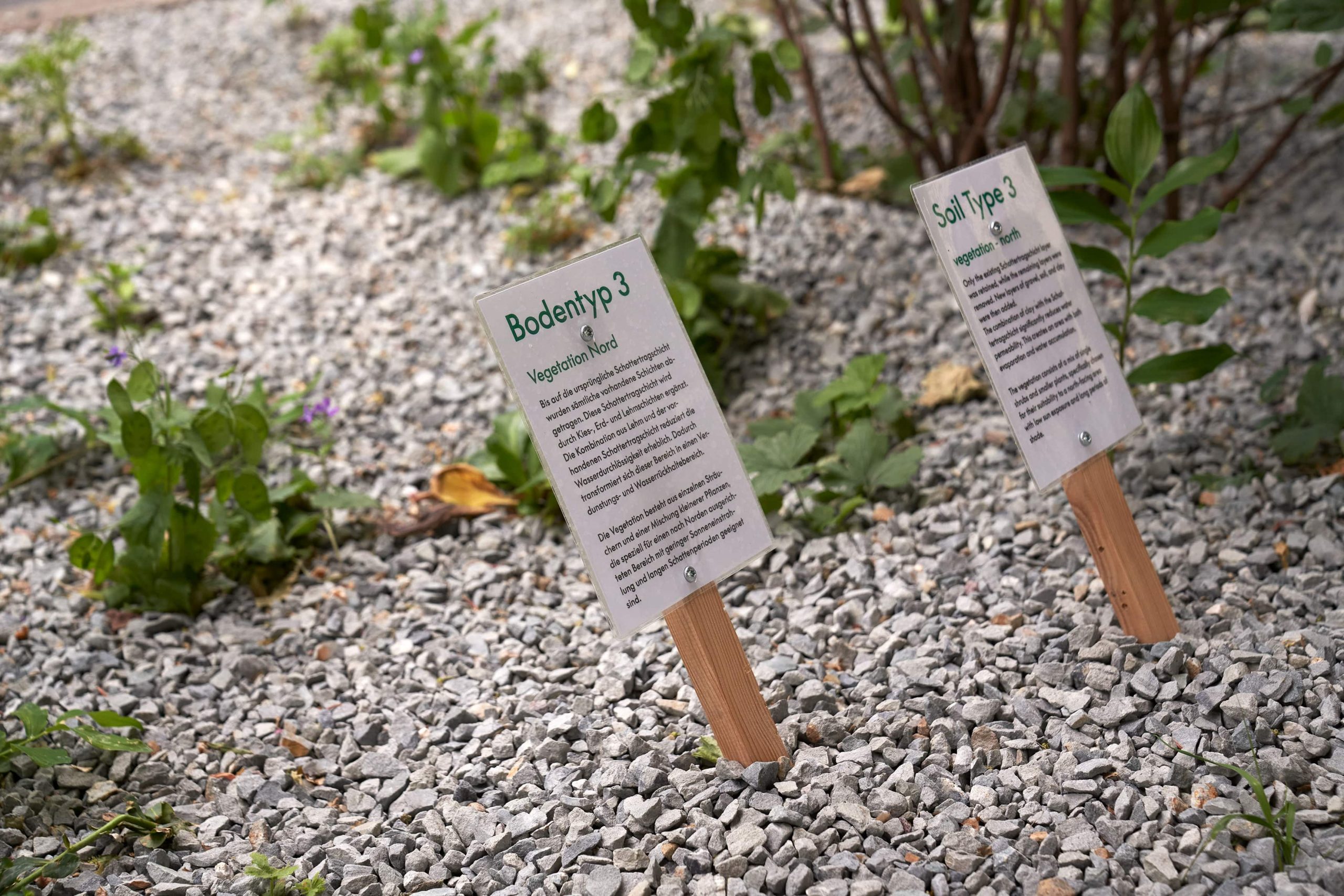 Das Reservat Berlin: Gartengestaltung, Gartenbau, Gartenpflege - Das_Reservat_05_24_0892-min