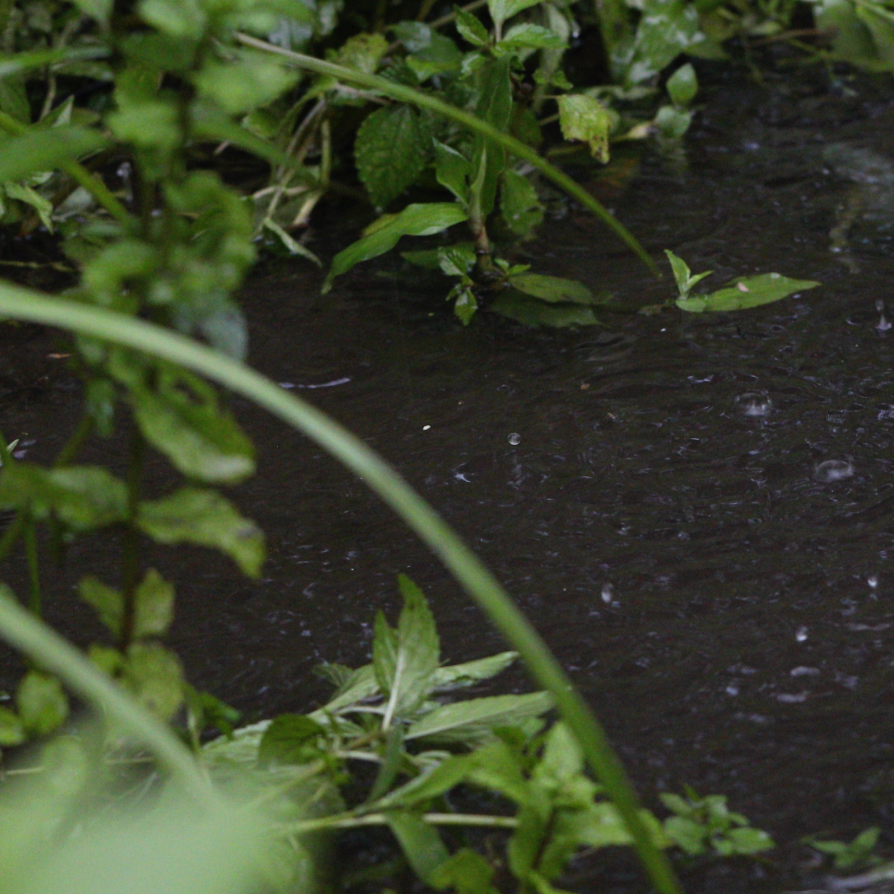 03_Reservat-Regenwassermanagment-Leistung2