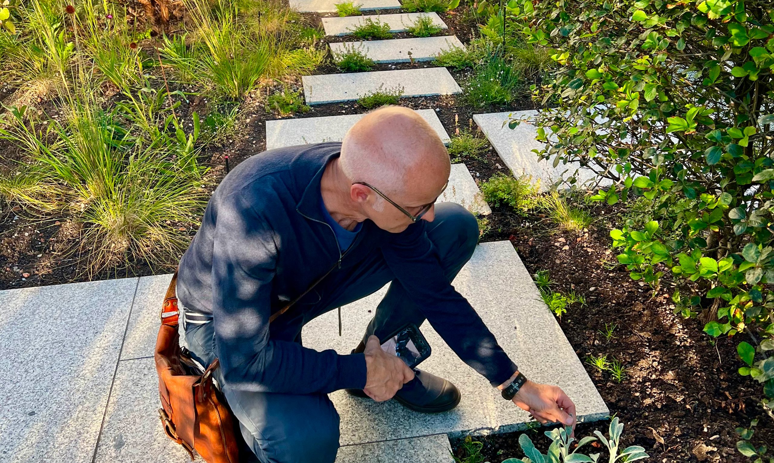 Das Reservat Berlin: Gartengestaltung, Gartenbau, Gartenpflege - Das-Reservat-Regenwassermanagement-05