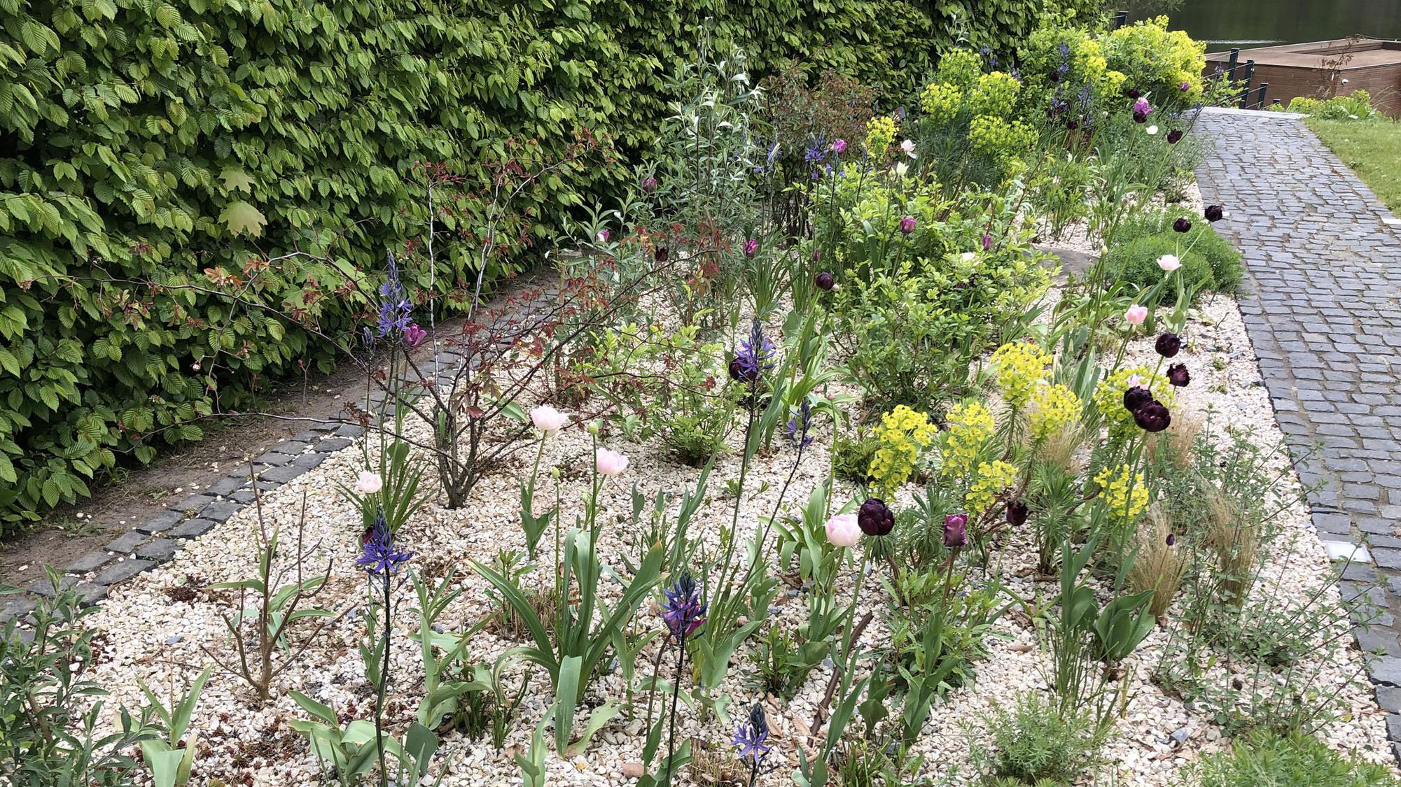 Das Reservat Berlin: Gartengestaltung, Gartenbau, Gartenpflege - 260723_RES_Trockenpflanzungen-3