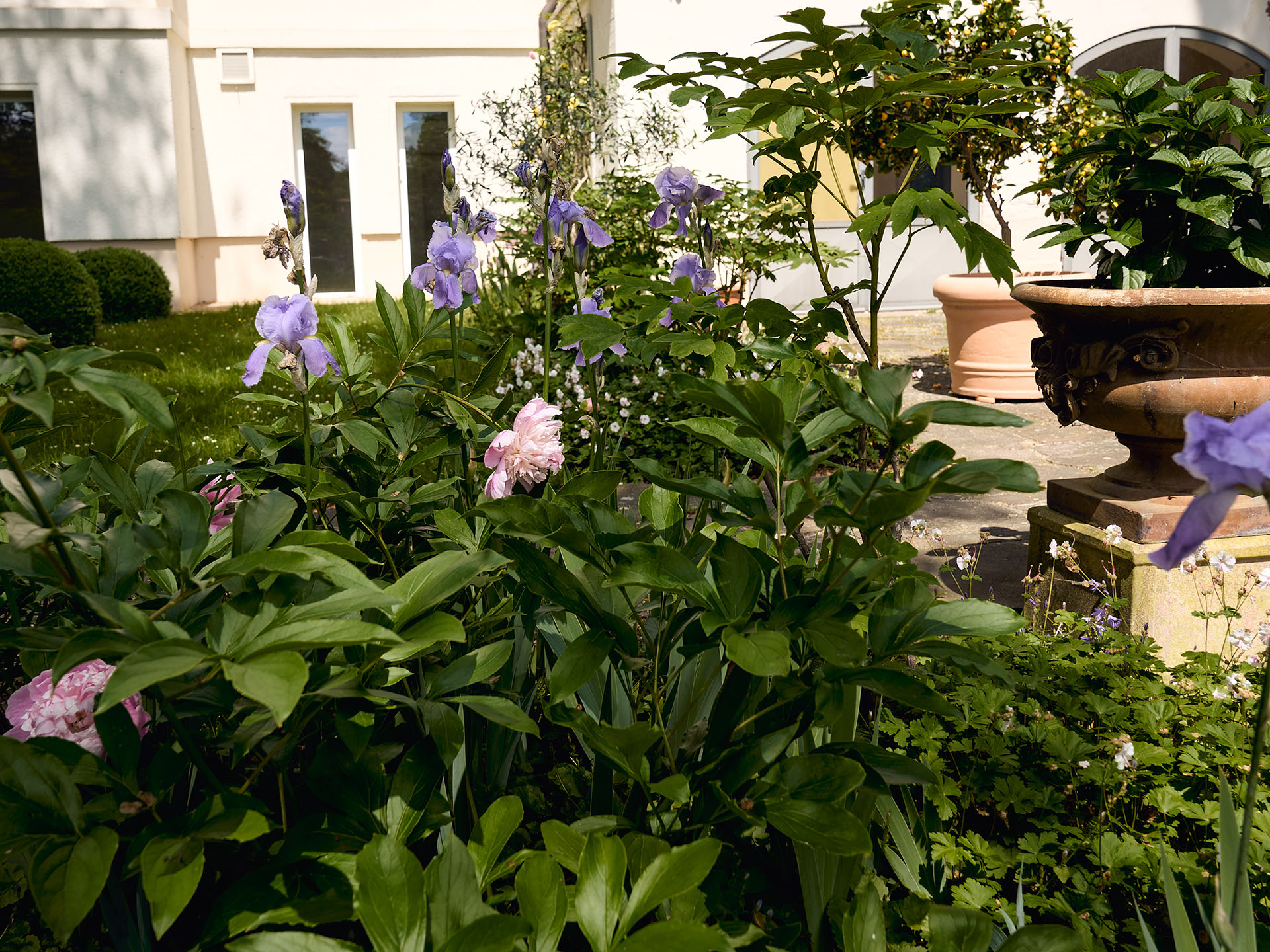 Das Reservat Berlin: Gartengestaltung, Gartenbau, Gartenpflege - Das_Reservat_0831_4x3